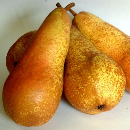 Par - Abatele Fetel (Gutui A2)