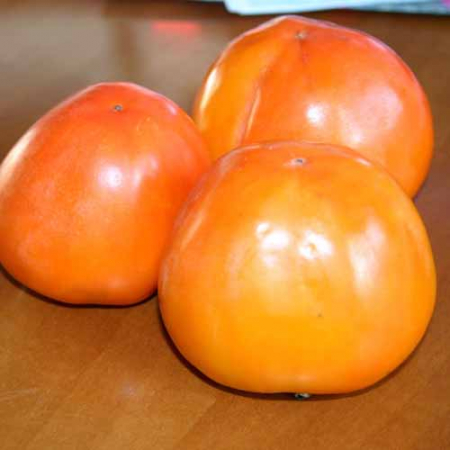 Pomi Fructiferi - Kaki Hana Fuyu (ghiveci 4L, H 70-90 cm)