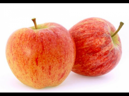 Mar Gala Royal M9 (ghiveci 5L, H 90-110 cm) [0]