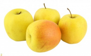 Mar - Mar Golden Delicious - MM106