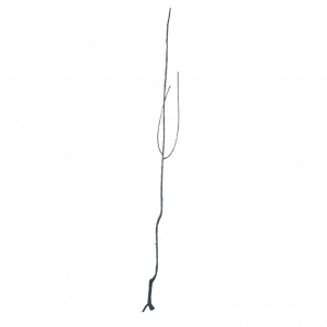 Par Abatele Fetel (OHF) [1]