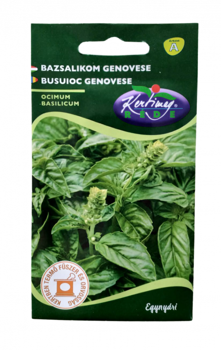 Seminte Busuioc Verde [1]