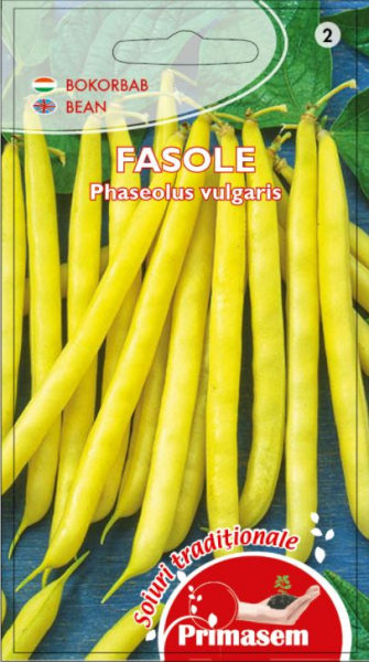 Seminte Fasole Oloaga [1]