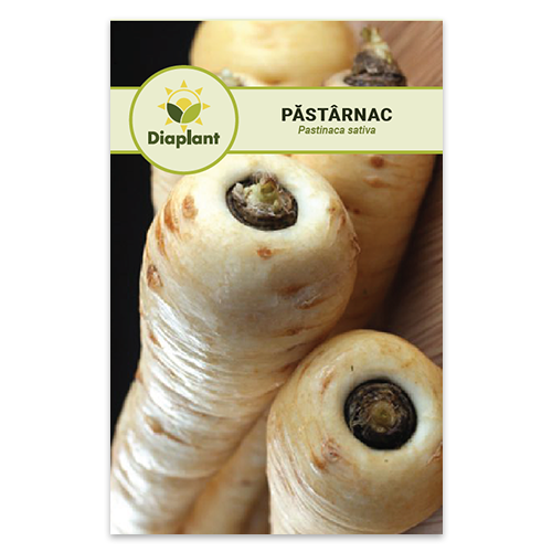 Seminte Pastarnac - White Gem [1]