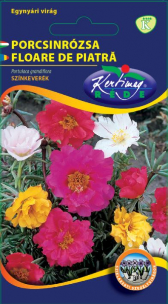 Seminte Floare de Piatra [1]