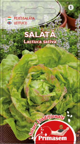 Seminte Salata Verde May King [1]