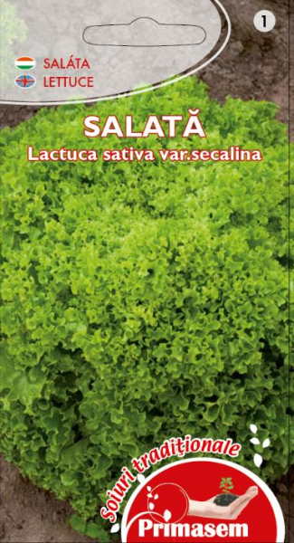 SALATĂ VERDE - LOLLO BIONDA [1]