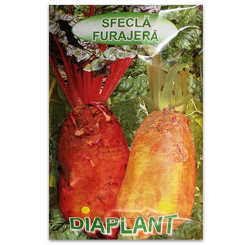 Seminte Sfecla Furajera [1]