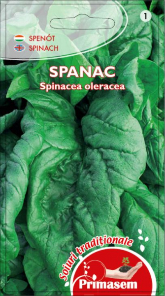 Seminte Spanac Matador [1]