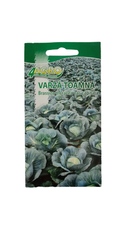 Seminte Varza de Toamna [1]