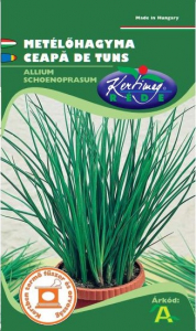 SEMINȚE PLANTE AROMATICE PERENE - Seminte Ceapa de tuns