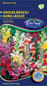 SEMINȚE FLORI - Seminte Gura Leului