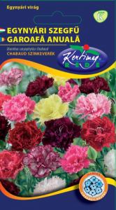 SEMINȚE FLORI - Seminte Garoafe Chabaud