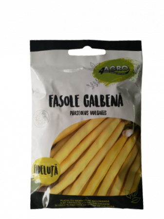 SEMINȚE - Seminte fasole Maxidor