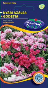 SEMINȚE FLORI - Seminte Godetia