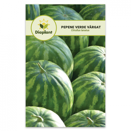 SEMINȚE LEGUME - Seminte Pepene Verde - Crimson Sweet