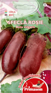 SEMINȚE LEGUME - SFECLĂ ROȘIE - CYLINDRA