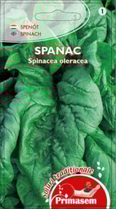 SEMINȚE - Seminte Spanac Matador