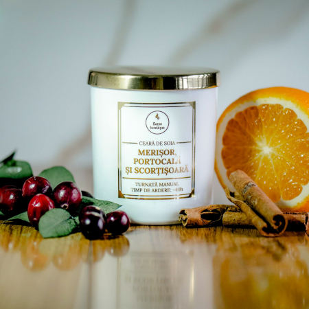 Fructate - lumanare parfumata merisor portocala si scortisoara