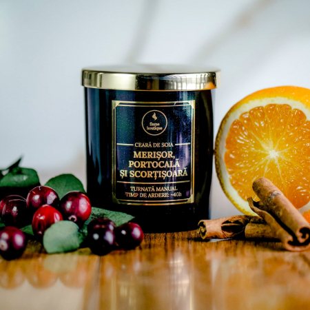 Fructate - lumanare parfumata merisor portocala si scortisoara