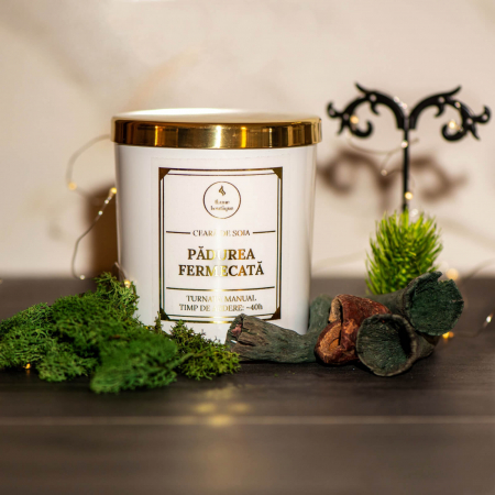 Lemnoase - lumanare parfumata padurea fermecata