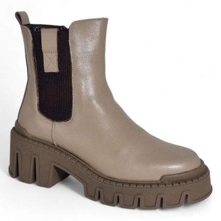 GD CTL 242 820 VIZON 1 [1]