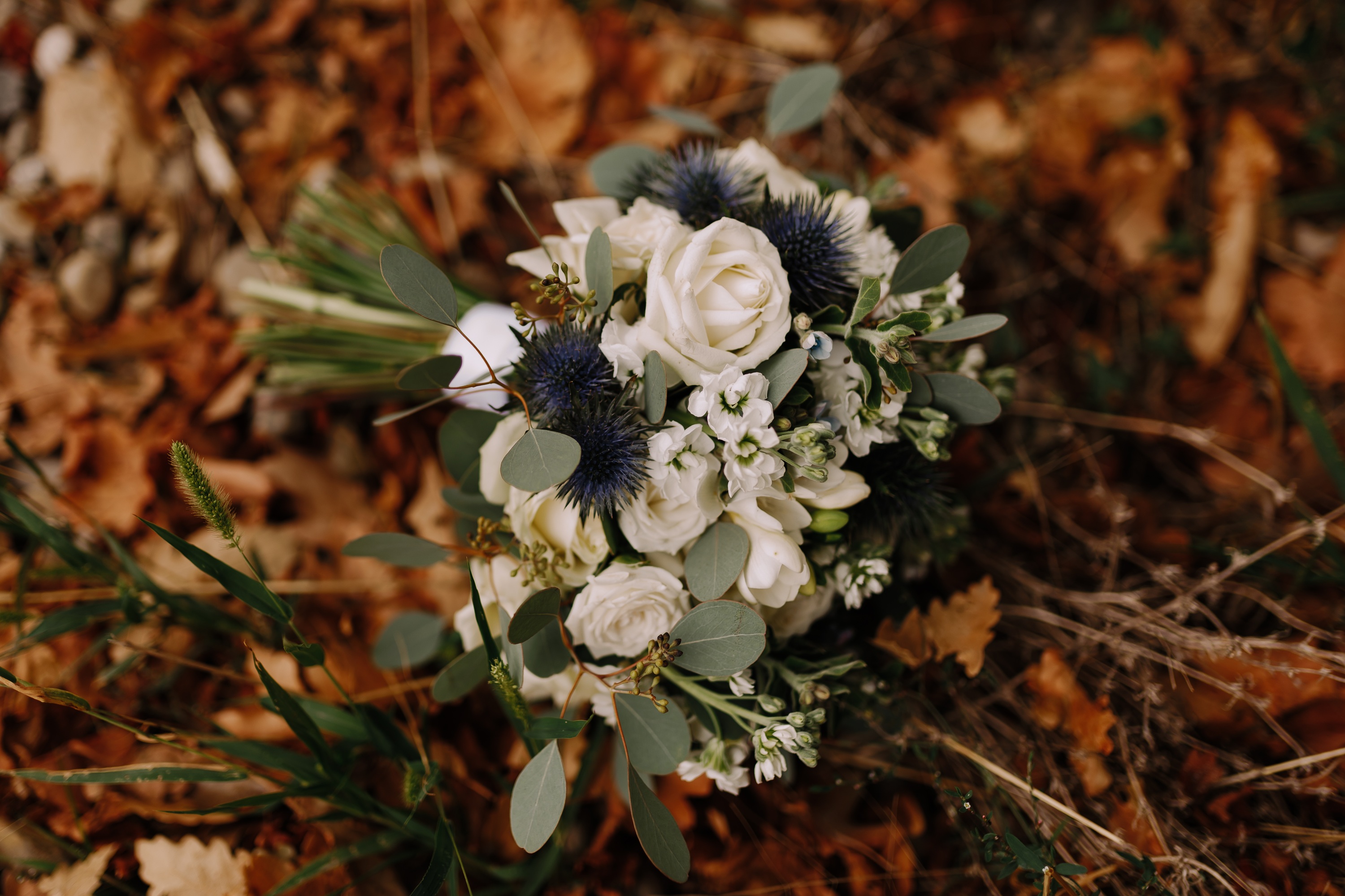 Top 5 flori de sezon pentru buchetele de mireasă și decorul floral