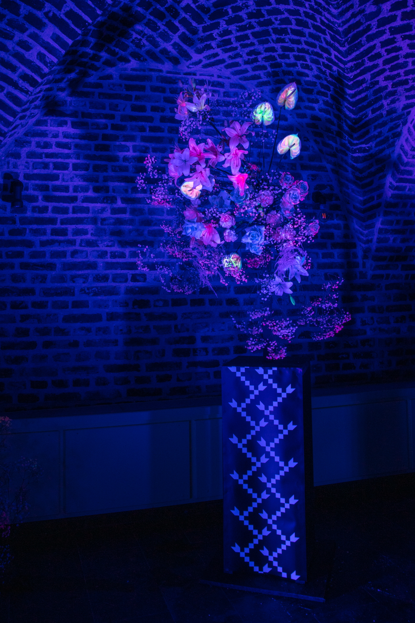 Galerie imagini