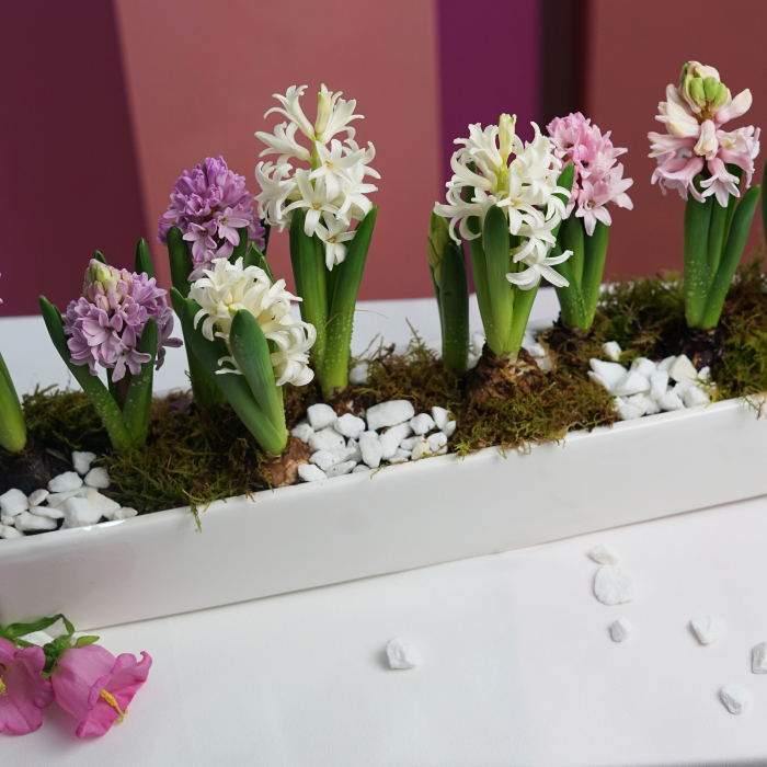 Aranjament de primavara [6]