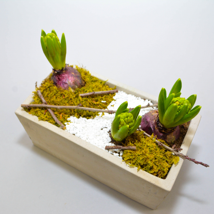 Aranjament de primavara cu zambile [4]