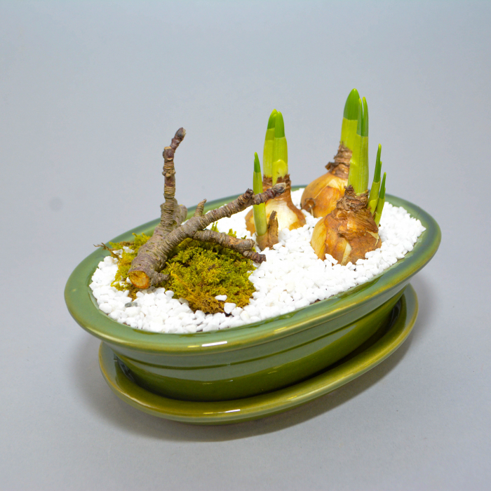 Aranjament de primavara cu narcise [5]