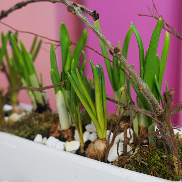 Aranjament de primavara [4]