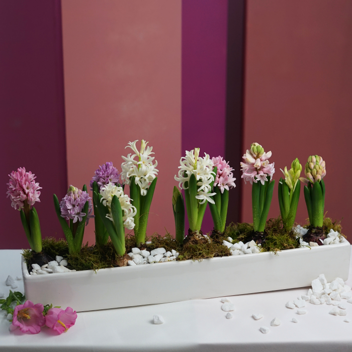 Aranjament de primavara [3]