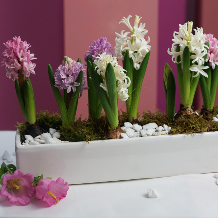 Aranjament de primavara [4]