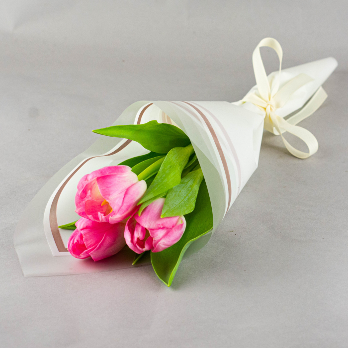 Cadou 1-8 martie [2]