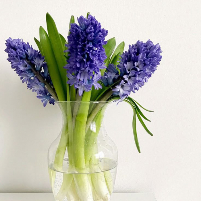 Cadou 1-8 martie [2]