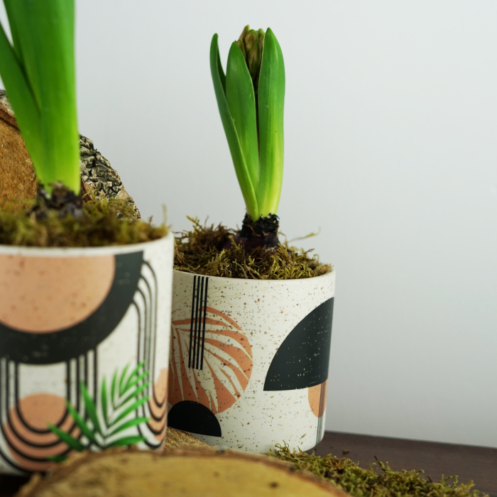 Cadou 1-8 martie [2]