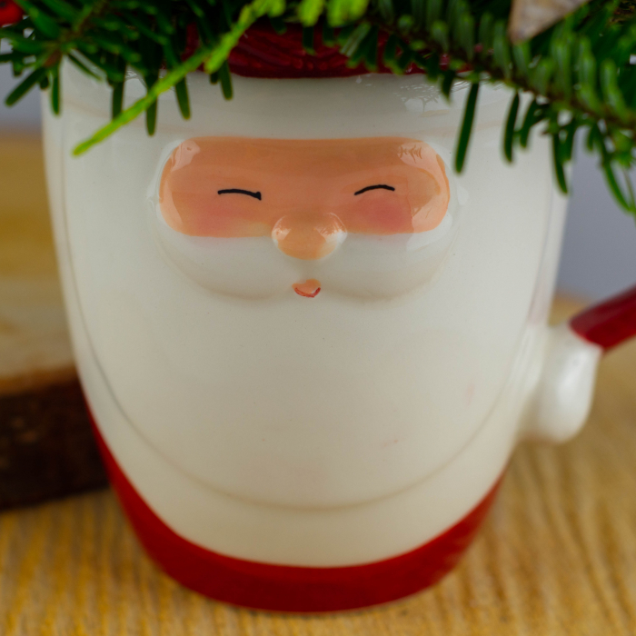 Cadou Mos Craciun [3]