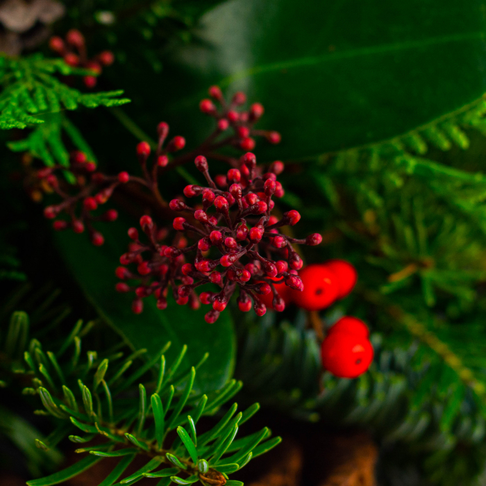 Cadou de Craciun special [2]