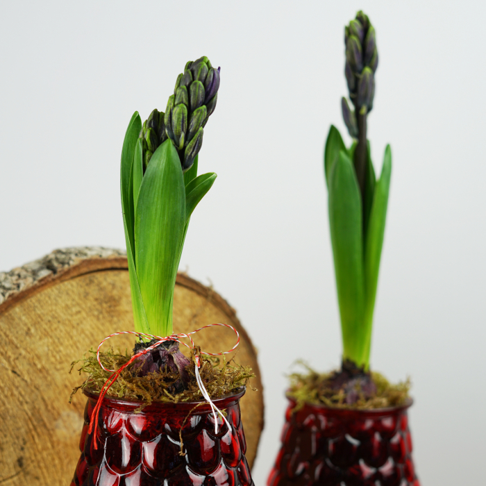 Cadou 1-8 martie [2]