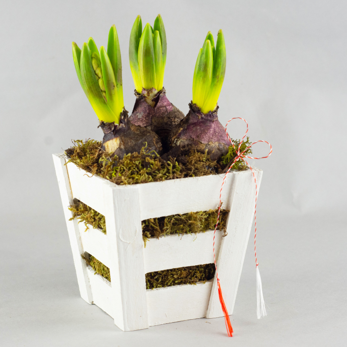 Cadou 1-8 martie [2]