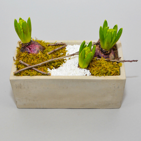 Aranjament de primavara cu zambile [1]