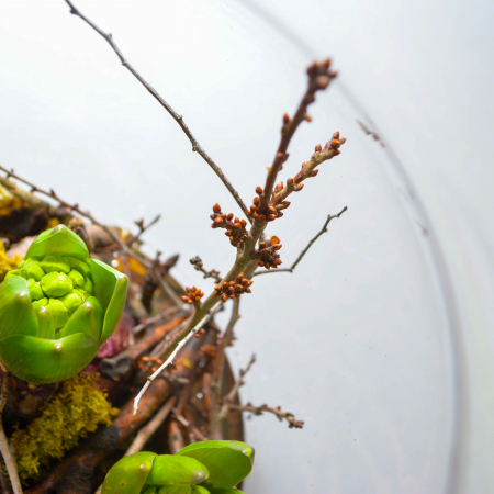 Aranjament de primavara cu zambile [2]