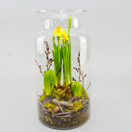 Aranjament de primavara cu zambile si narcise [0]