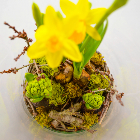 Aranjament de primavara cu zambile si narcise [3]