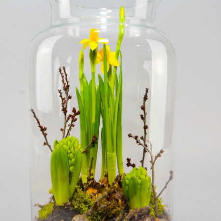 Aranjament de primavara cu zambile si narcise [1]