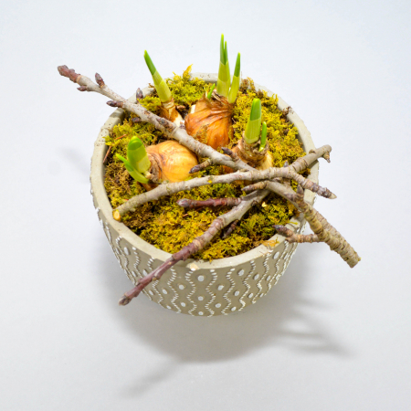 Aranjament de primavara cu narcise [2]