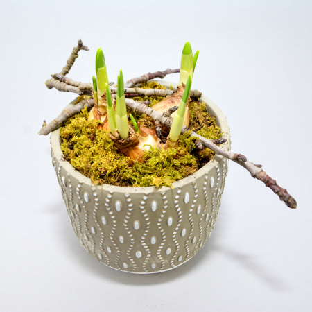 Aranjament de primavara cu narcise [1]