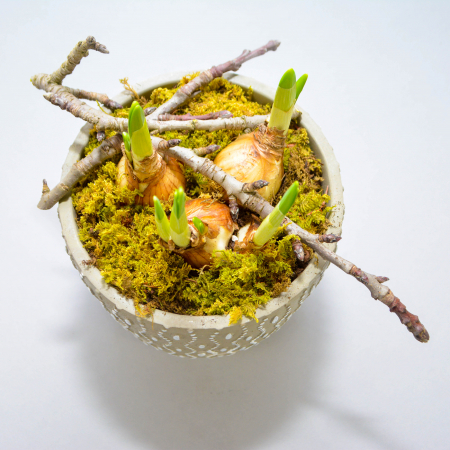 Aranjament de primavara cu narcise [6]