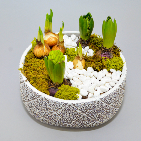 Aranjament de primavara cu zambile si narcise [1]